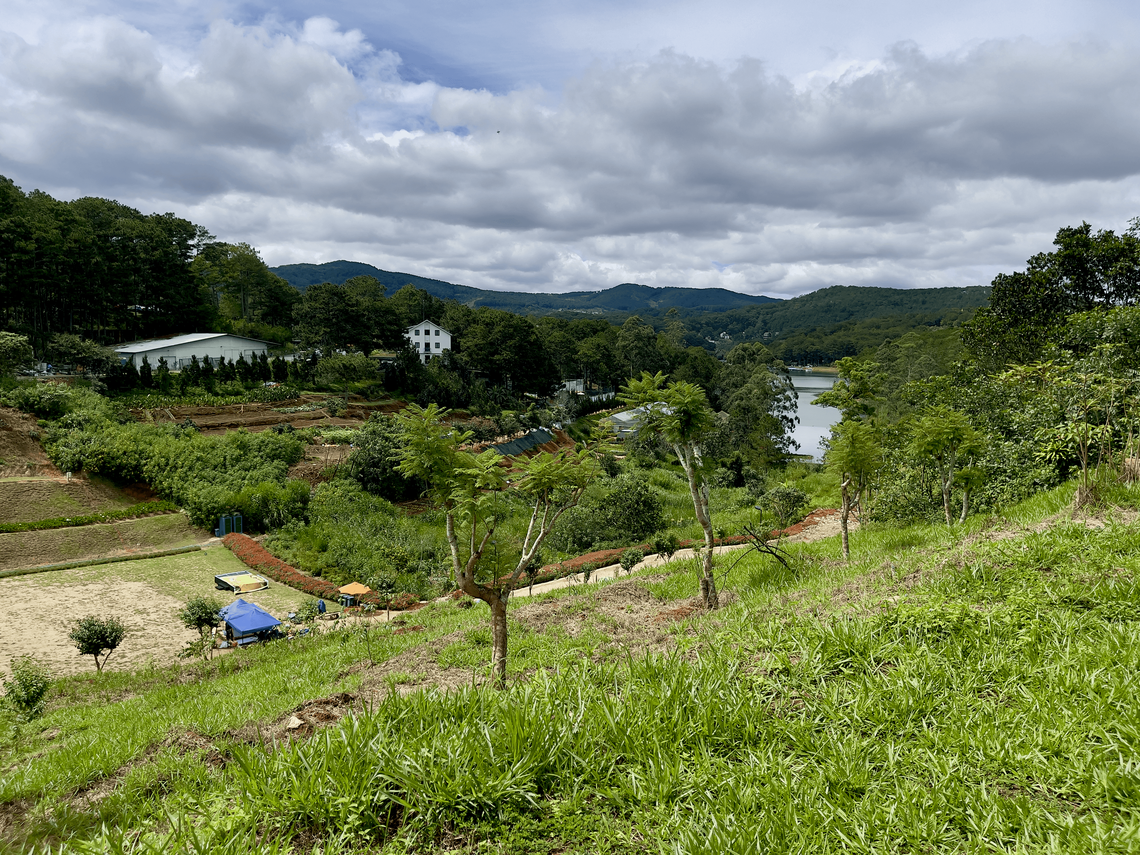 Rolling green hills and farmland near Da Lat
