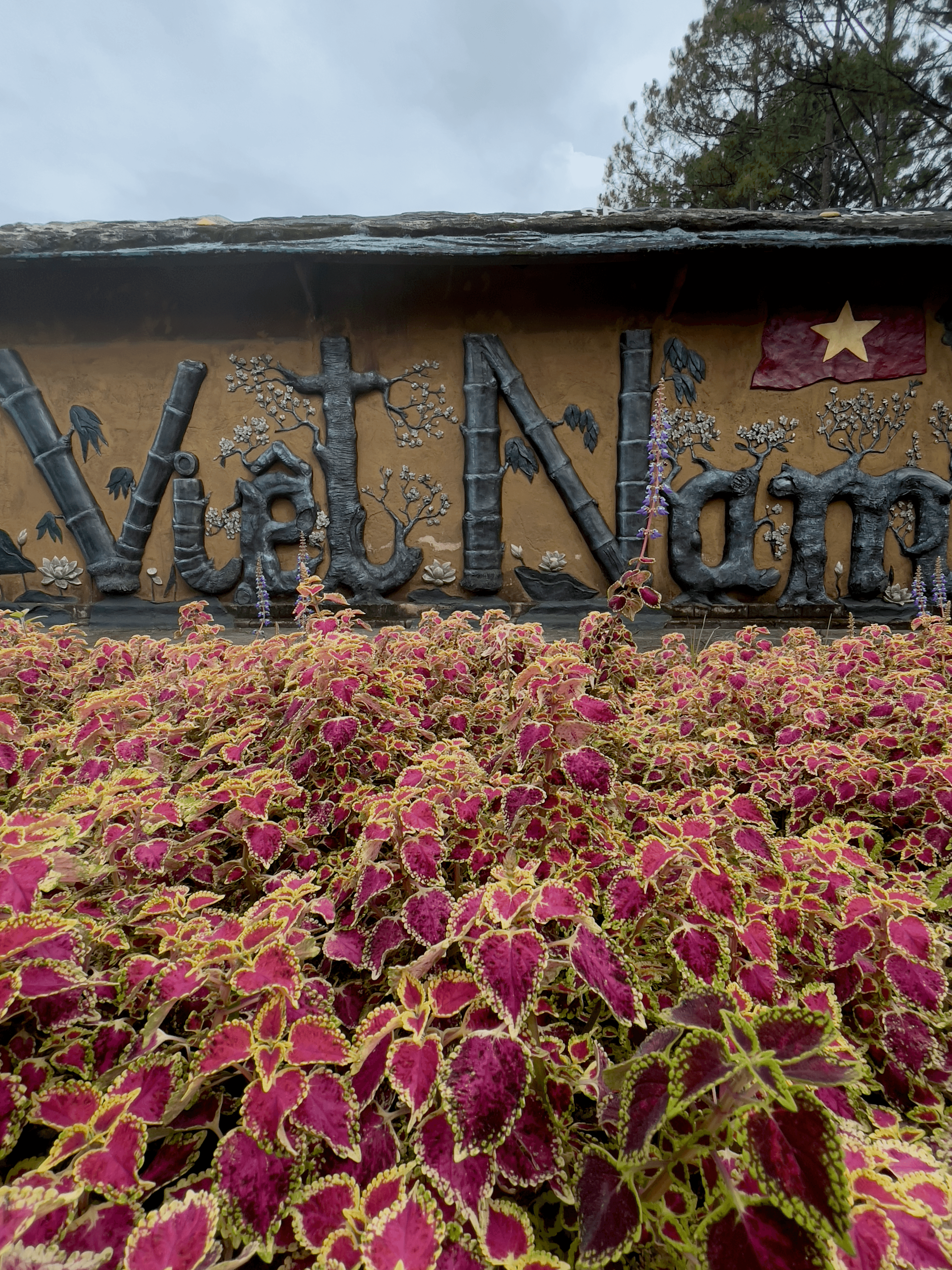 Flowers in front of a building with text reading 'Viet Nam'