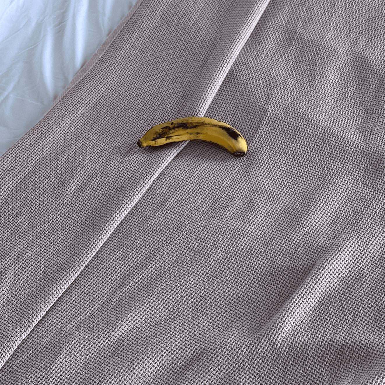 One of the actual bananas I ate
