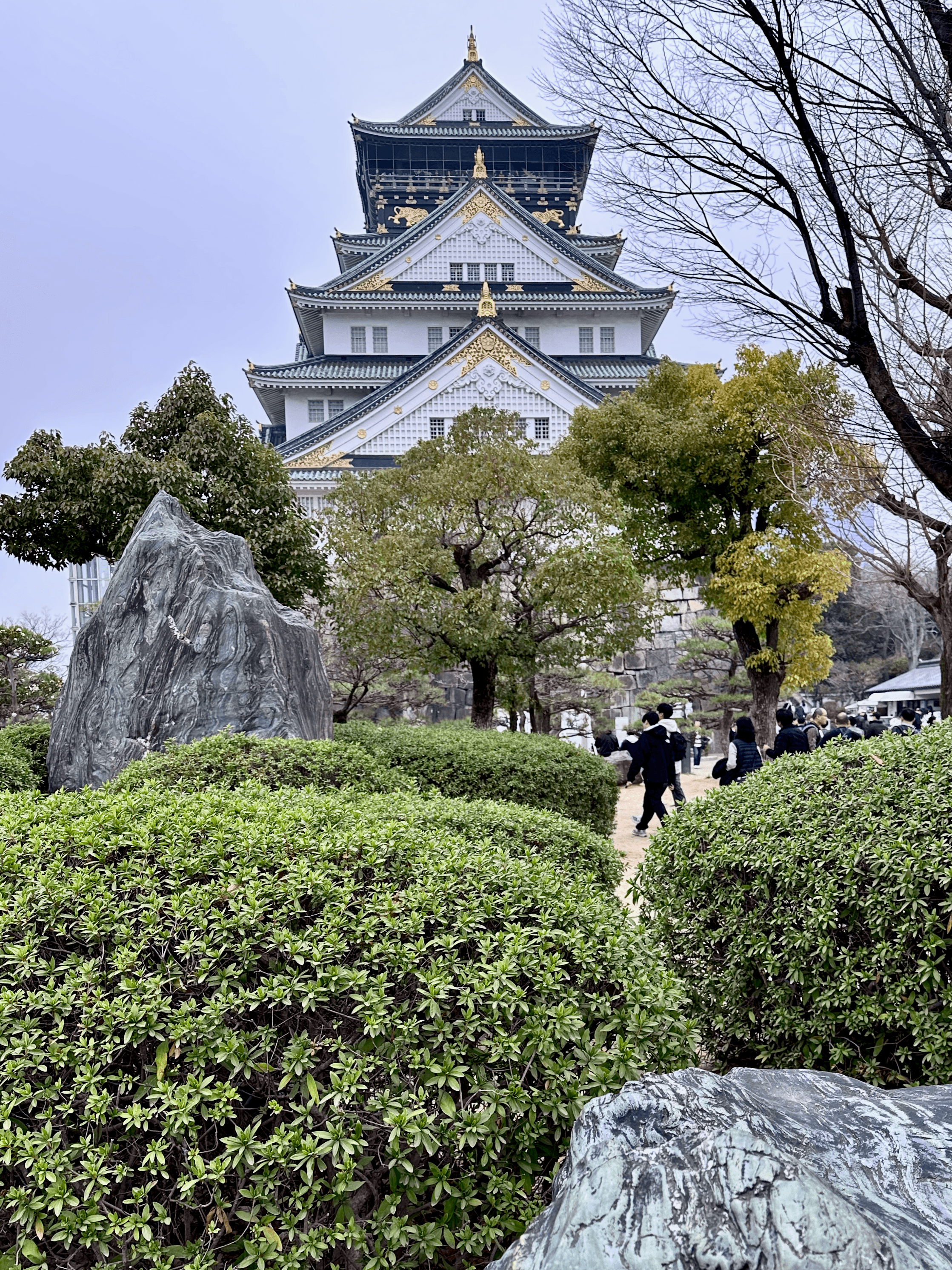 Osaka Castle viewd from the park in Osaka, Japan