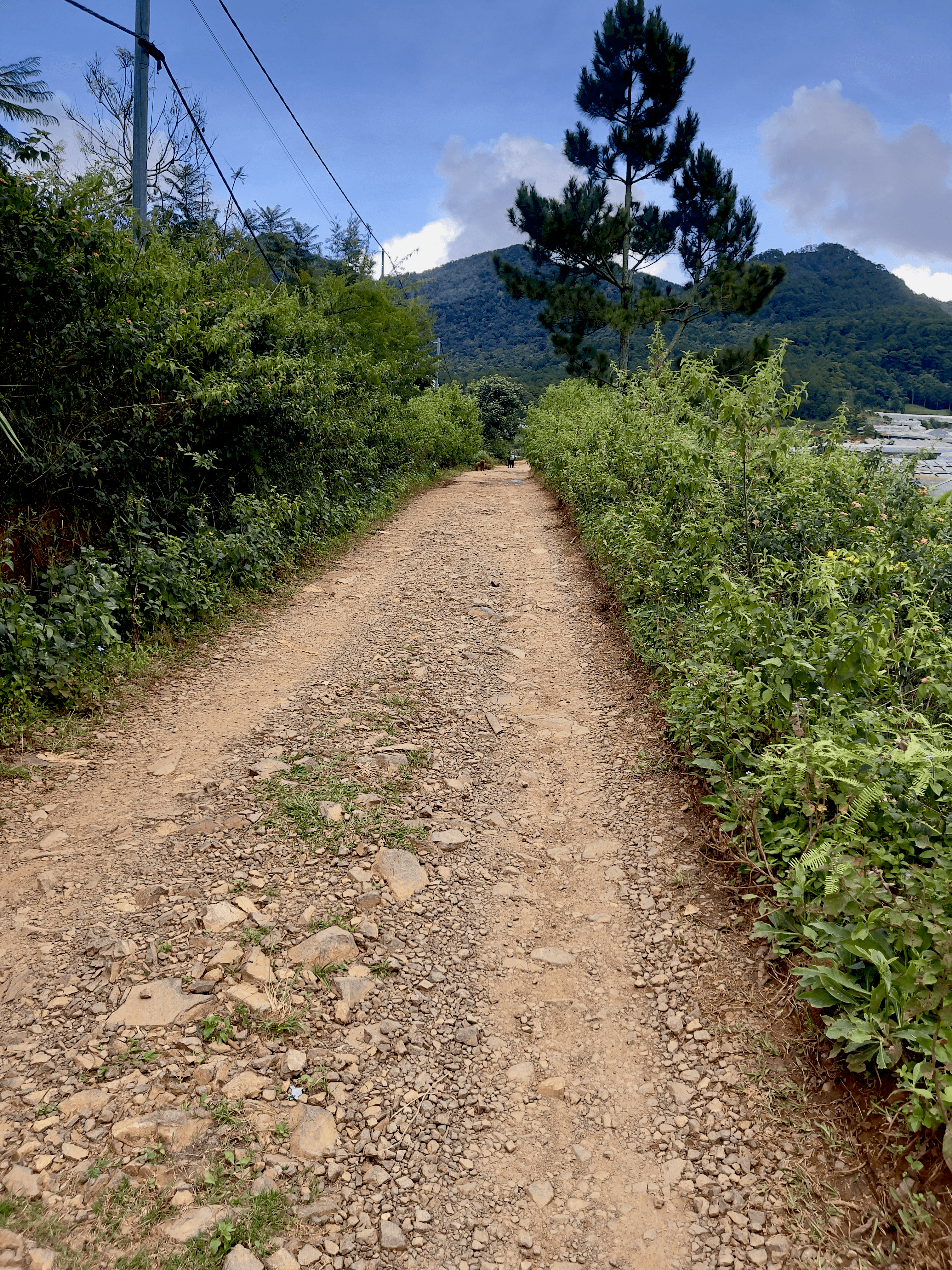 Rocky mountain road in a village near Da Lat, Vietnam